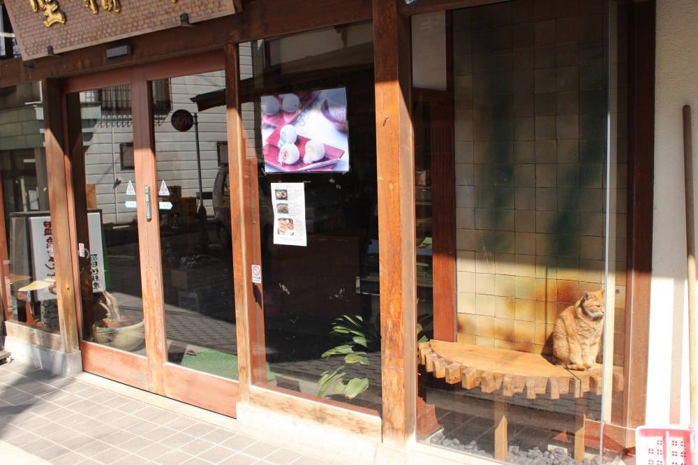 Manju Shop @ I'll Make It Myself