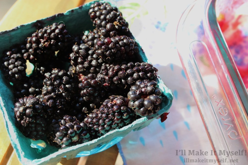 Rhubarb Berry Crisp | I'll Make It Myself! 1