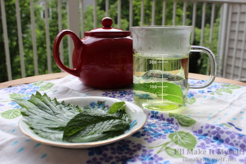Nettle and Mint Tea | The Lobster Dance 2 (1)