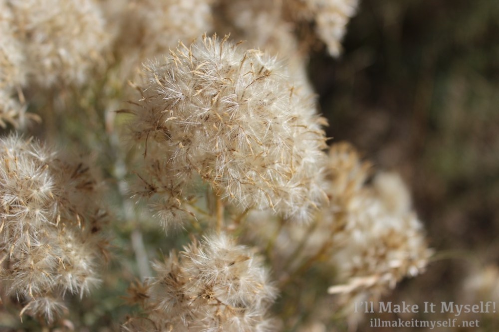 Death Rattle Writers Festival 2017 | I'll Make It Myself! 10