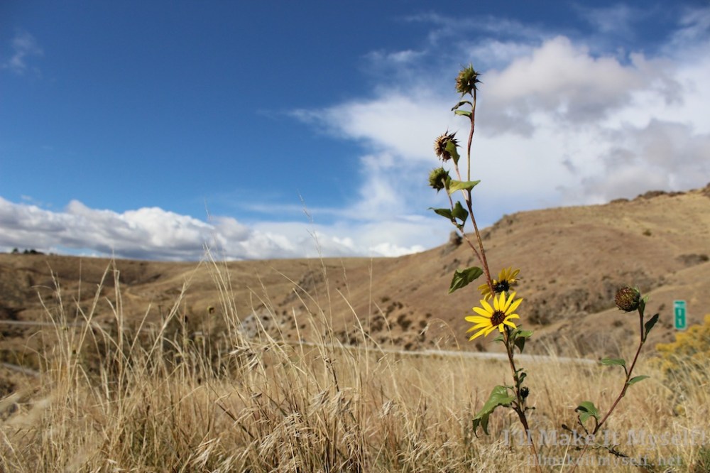 Death Rattle Writers Festival 2017 | I'll Make It Myself! 8