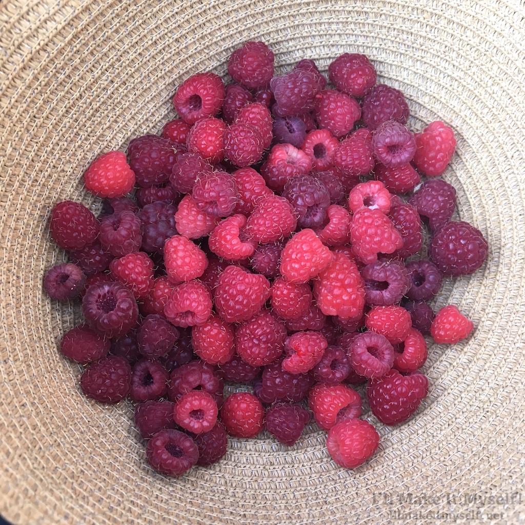 Raspberries | I'll Make It Myself! 2