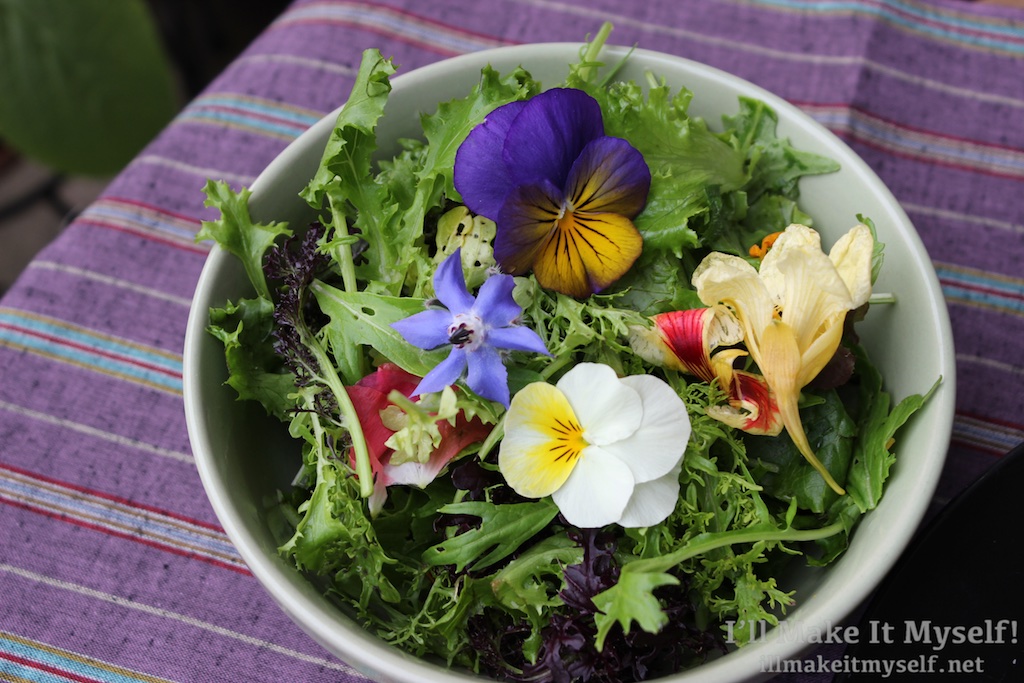 Garden Salad 1