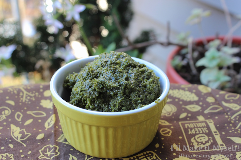 CarrotTop and Cilantro Pesto I'll Make It Myself!