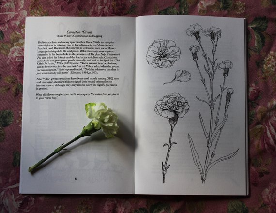 Green Carnation from The Queer Language of Flowers Zine